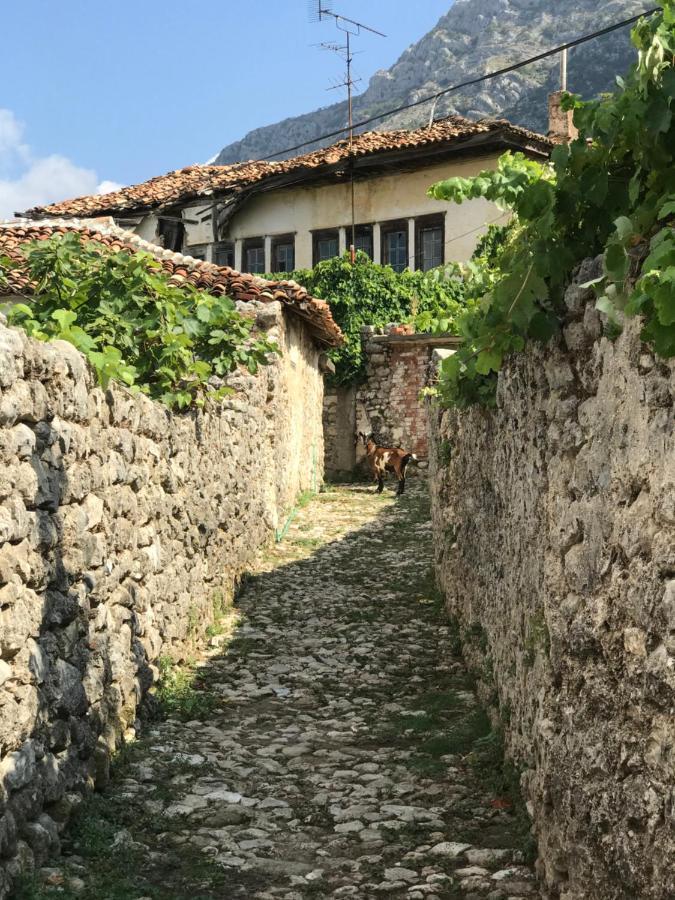 Kaloshi Villa Krujë 외부 사진